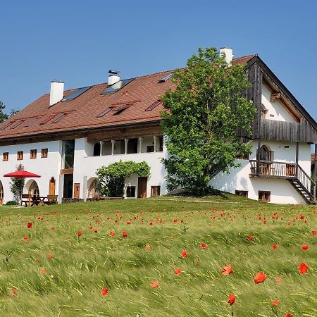 Апартаменты Hagerhof Эгштетт Экстерьер фото