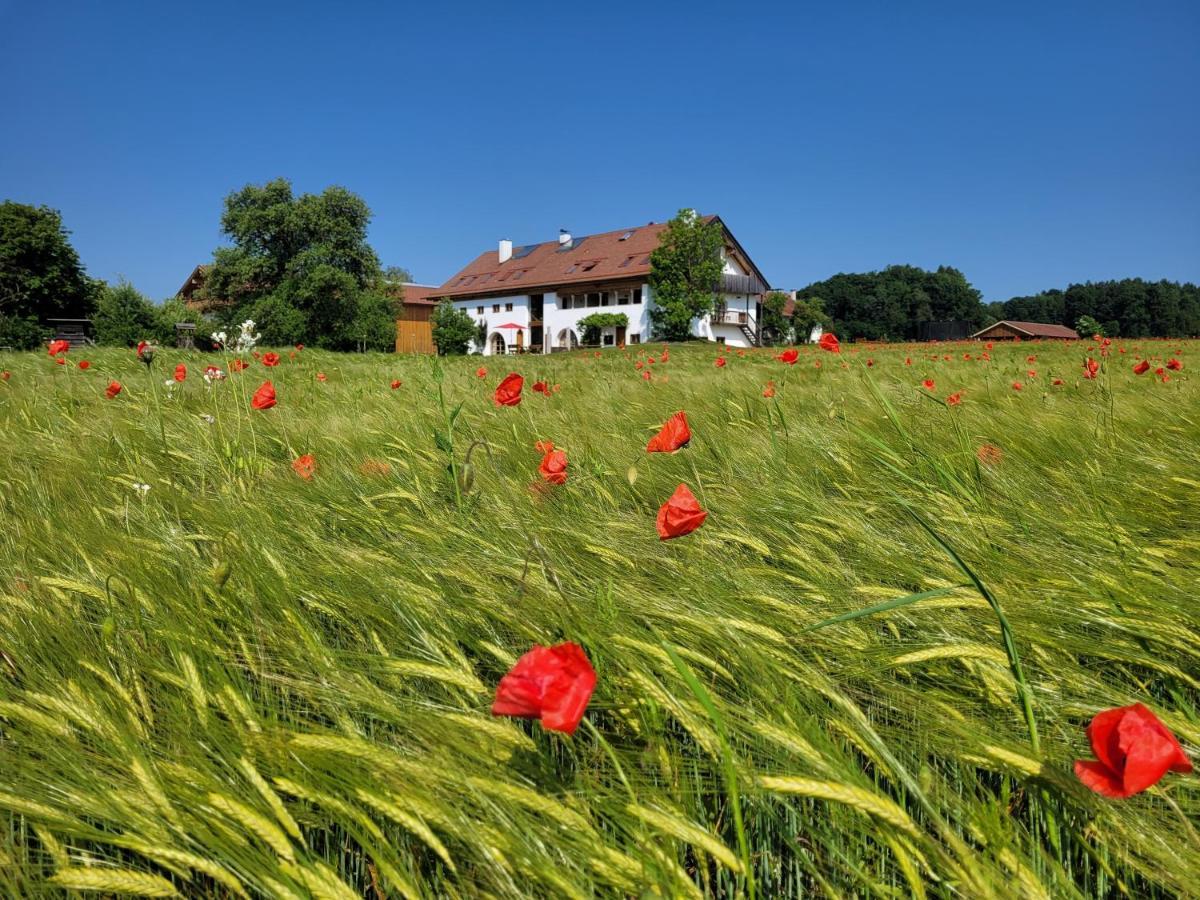 Апартаменты Hagerhof Эгштетт Экстерьер фото